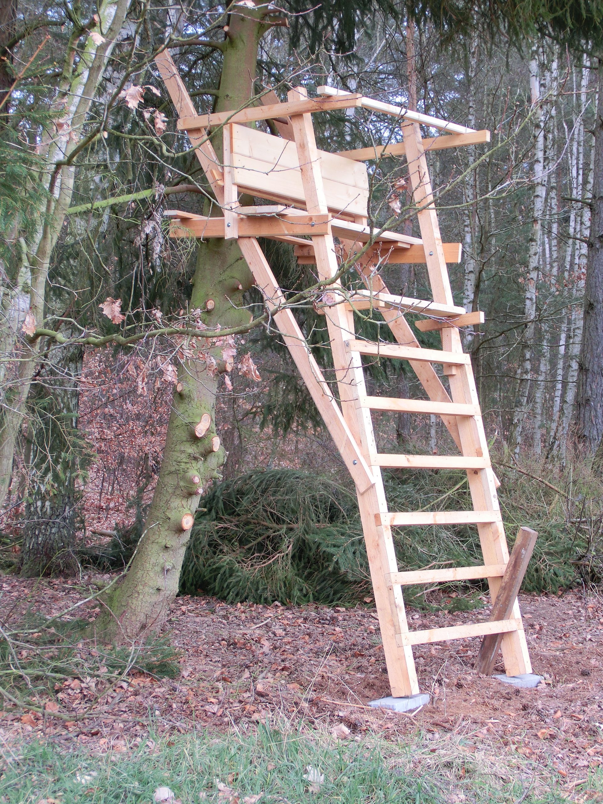 Raubwild - Baumleiter