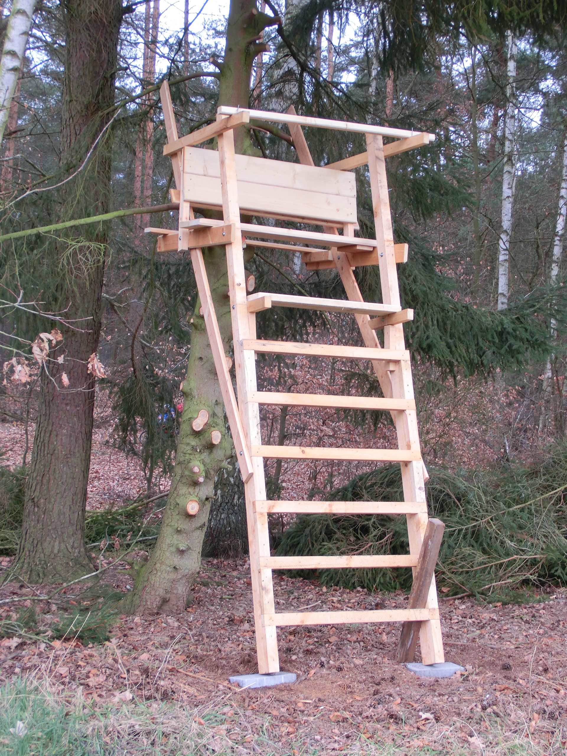 Raubwild - Baumleiter – Bild 3