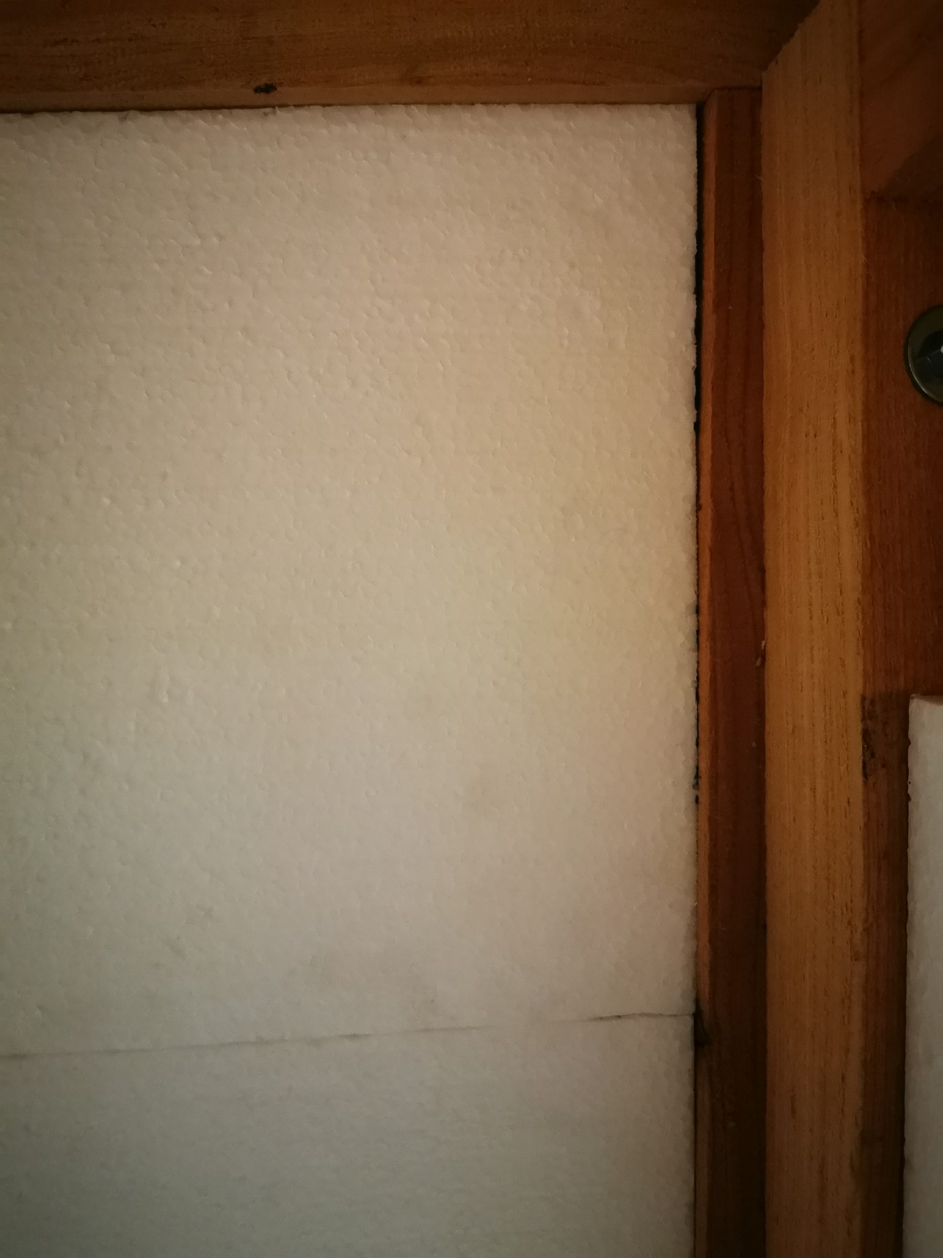 Brandfuchs - Schlafkanzel – Bild 13