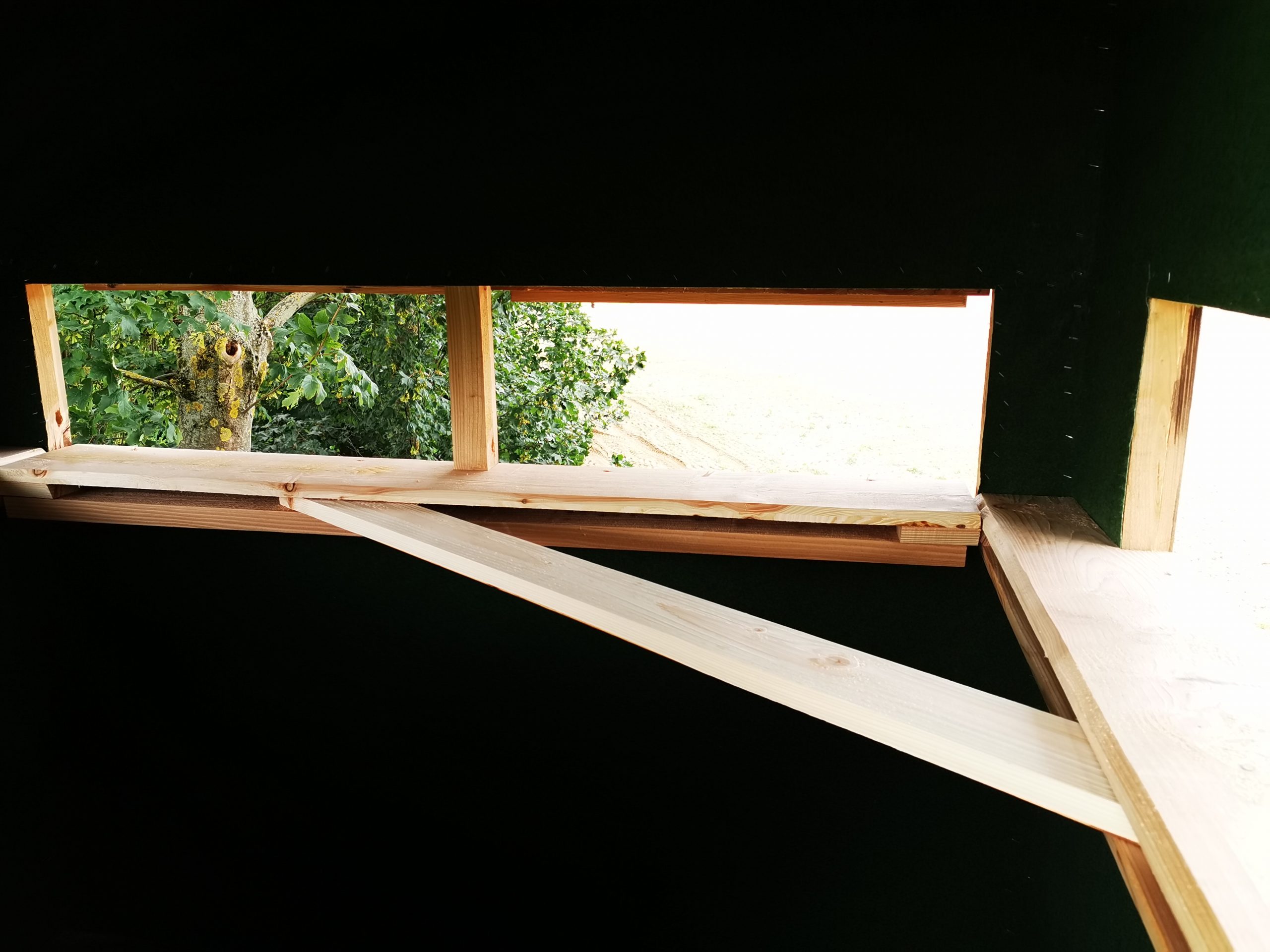 Brandfuchs - Schlafkanzel – Bild 7