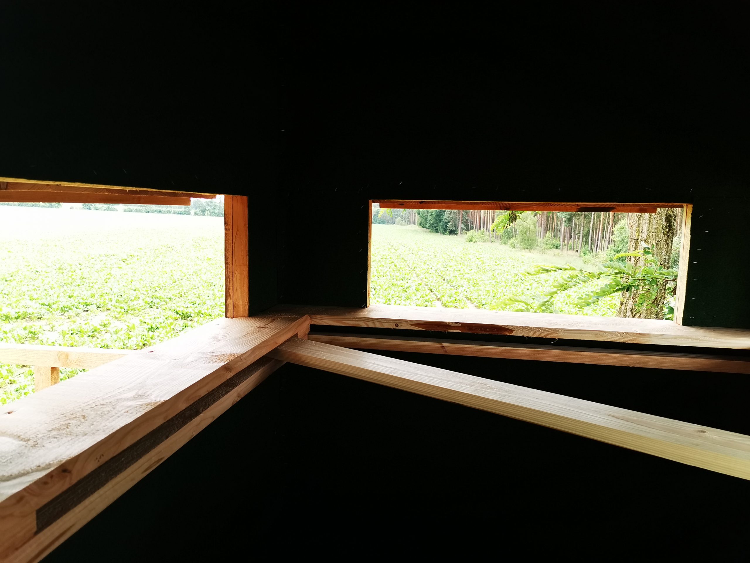 Brandfuchs - Schlafkanzel – Bild 6