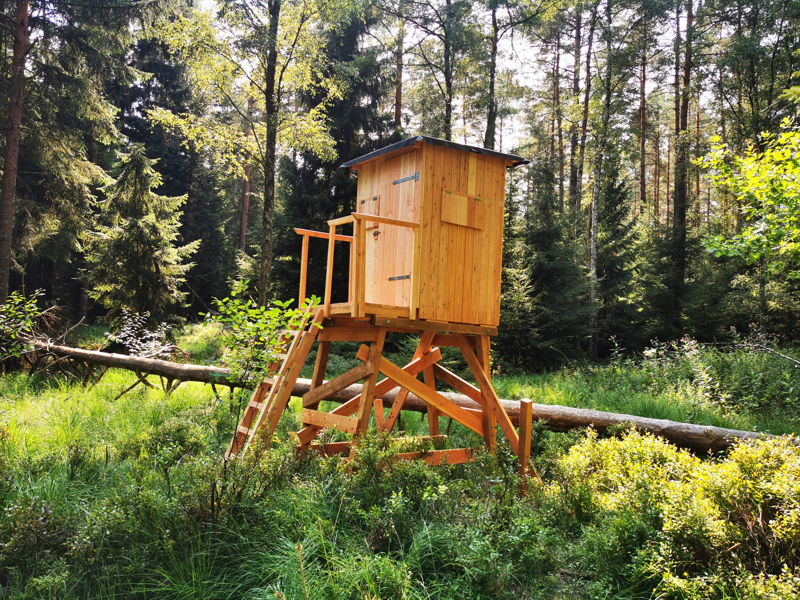 Hochsitz, Kanzel, Jagdeinrichtung