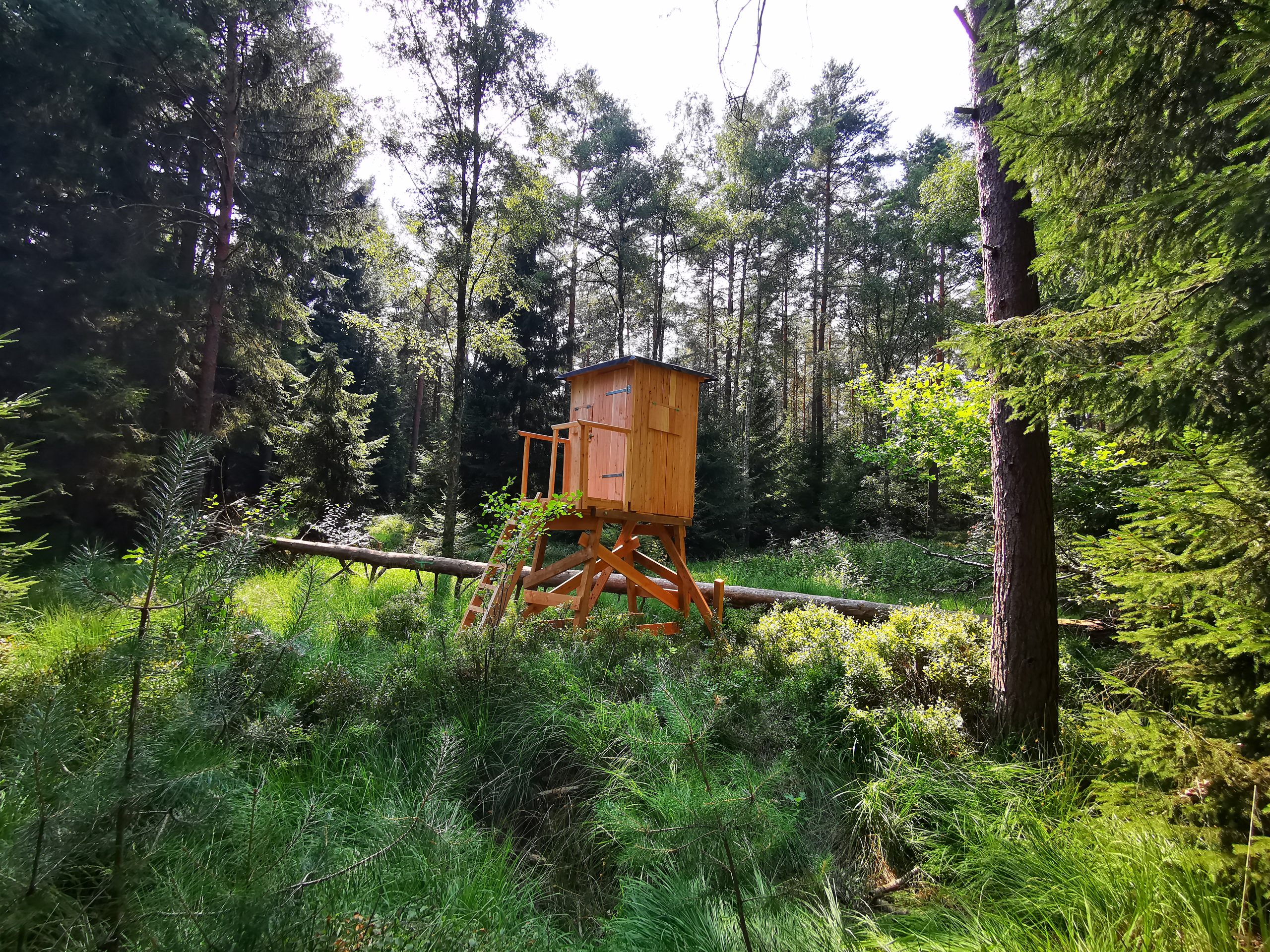 Hochsitz, Kanzel, Jagdeinrichtung