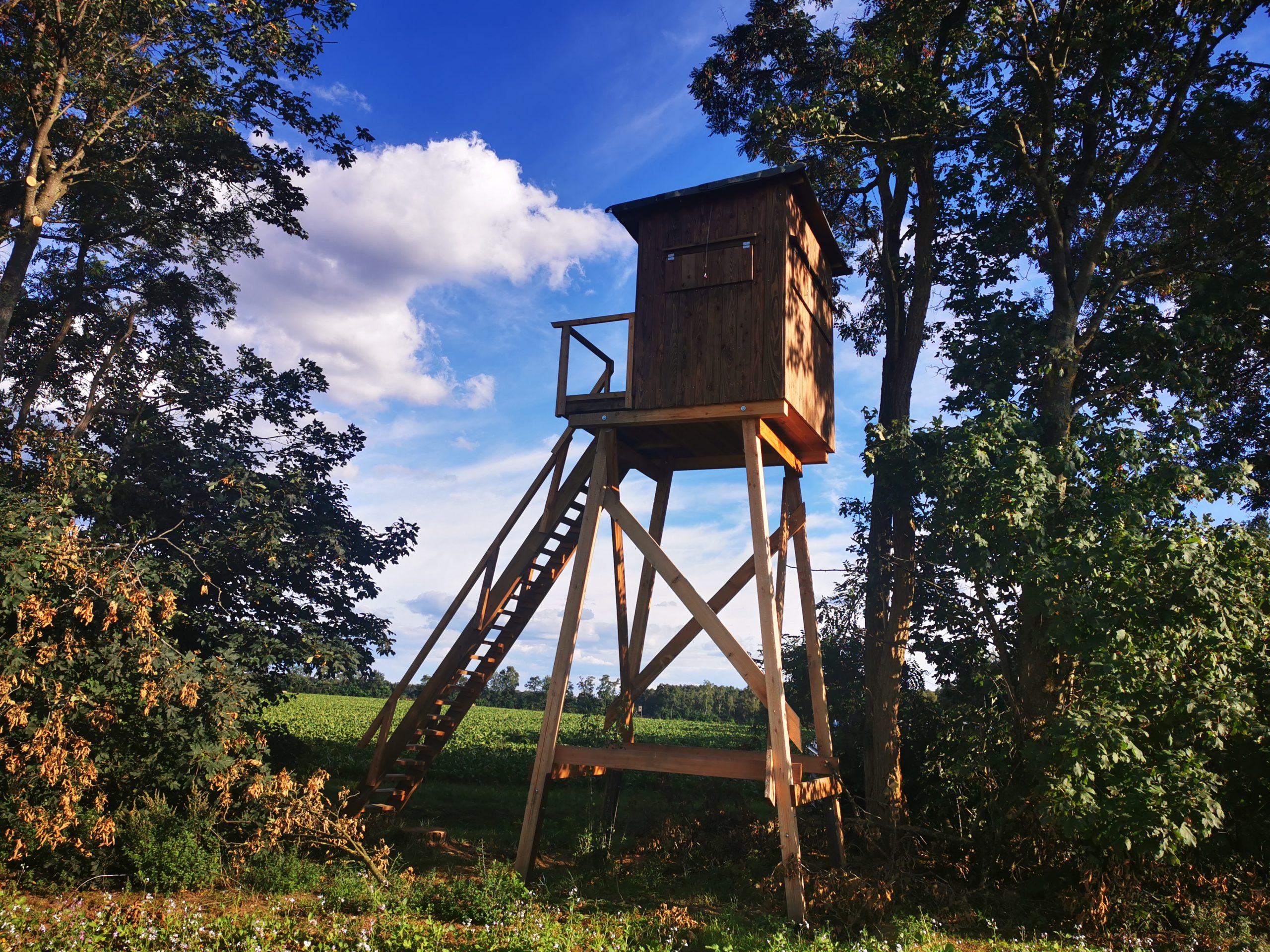 Brandfuchs - Schlafkanzel – Bild 3