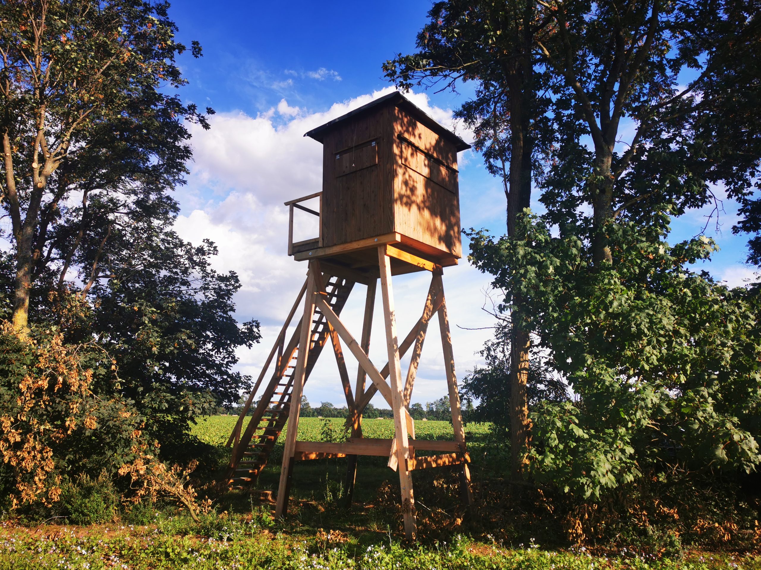 Hochsitz, Unterbau, Schlafkanzel