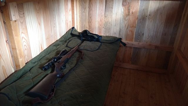 Brandfuchs - Schlafkanzel – Bild 15