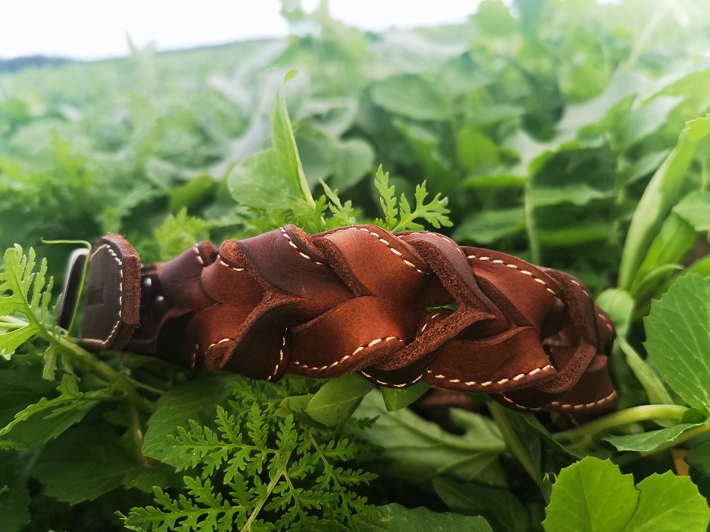 Leder Halsband geflochten von Jagdeinrichtung 24