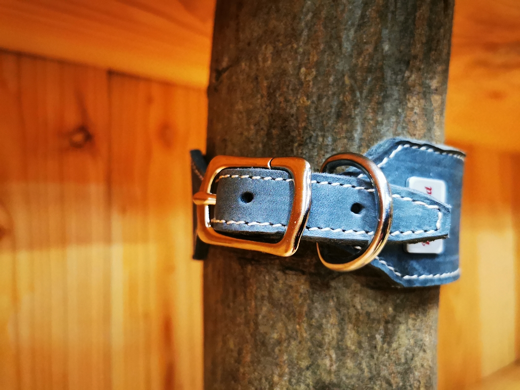 Leder Halsband handgefertigt verjüngt von Jagdeinrichtung 24