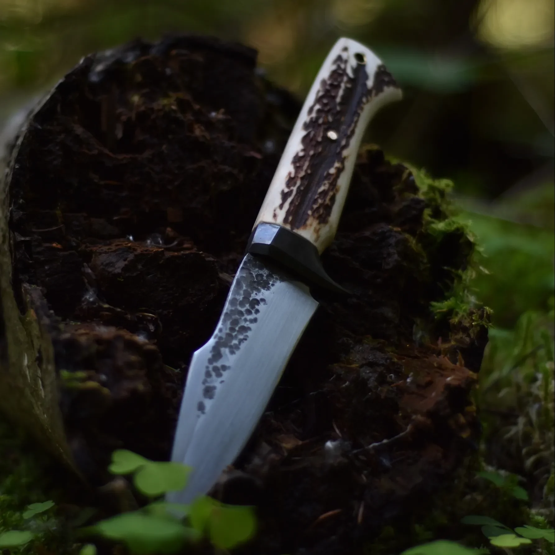Messer mit einer handgeschmiedeten Klinge. Weiß brauner Griff aus Hirschhorn. Messer steckt in einem Baumstamm im Wald